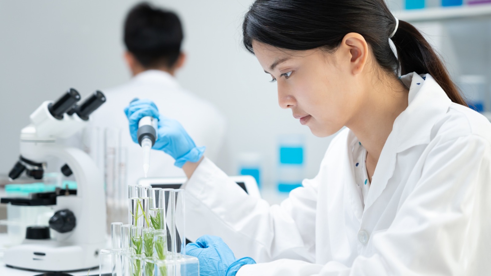 Environmental and Public Health